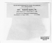 Sphaerulina musiva image